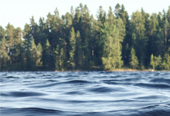 Photo of trees and water