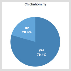 pie chart showing that in chickahominy 79.4% said yes and 20.6% said no.