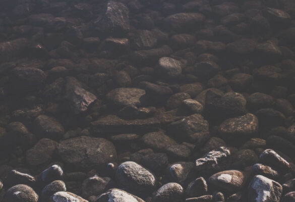 Photo of Fancy Rocks